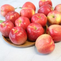 ［청송 송학농원］청송 명품 껍질째 먹는 꿀 사과 햇부사 5kg