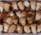[화산스마트팜] 참송이버섯, 하품(실속형) 1kg