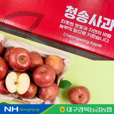 [경북능금농협] 청송 사과 10kg 47~50과
