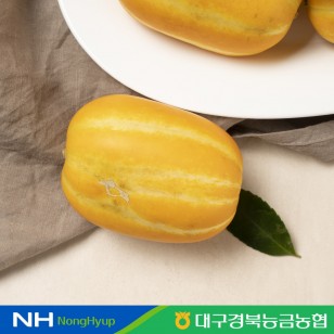 [경북능금농협] 성주 꿀참외 가정용 5kg(12~26과)
