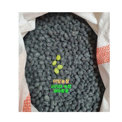 [이랑농장] 서리태속청 (종자용)새바람콩(5kg)