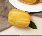 [경북농협] 봄 제철 과일! 성주 꿀참외 2.5kg (기본 : 7-10과 / 가정용 : 6-13과 )
