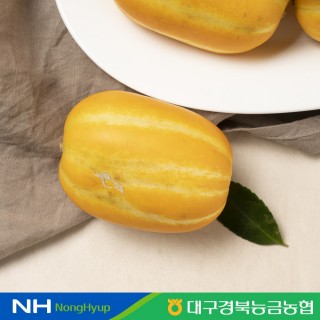 [경북농협] 봄 제철 과일! 성주 꿀참외 2.5kg (기본 : 7-10과 / 가정용 : 6-13과 )