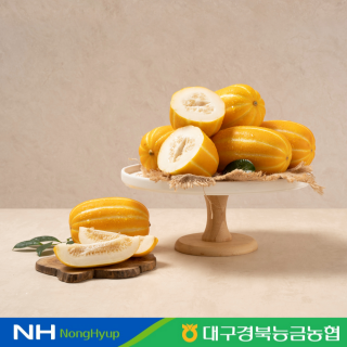 [경북농협] 봄 제철 과일! 성주 꿀참외 5kg (기본 : 14-20과 / 가정용 : 12-26과 )