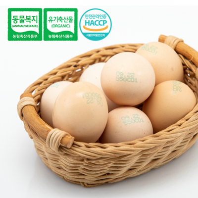 대한민국 최초 유기축산물인증 동물복지인증 백봉오골계 계란 40구