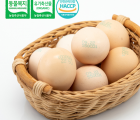 대한민국 최초 유기축산물인증 동물복지인증 백봉오골계 계란 60구