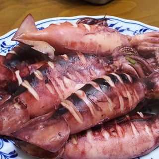 [주식회사성철] 동해안 활 급냉 총알 통찜오징어 1kg 2kg 생물냉동 오징어