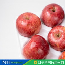 [경북농협] 청송 꿀사과 가정용 흠집사과 3kg(12-15과)