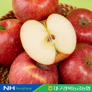 [경북농협] 청송 꿀사과 3kg(12-15과)
