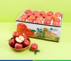 [경북농협] 청송 꿀사과 흠집사과 가정용 10kg(과수 옵션 선택)