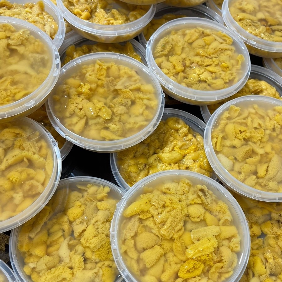 [지삼유통] 포항 자연산 제철 성게알 우니 보라성게알 100g > 기타수산물 | 사이소