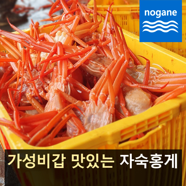 [노가네수산] 맛있는 자숙홍게3kg (9~12마리) > 대게/홍게/과메기/게장 | 사이소