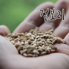 [소화농장] 2023년  겉보리 1kg