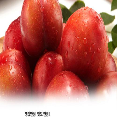 함초롬_자두로 유명한 김천에서 생산된 새콤달콤 실속 프리미엄 햇 자두_2 kg(25~45과내)