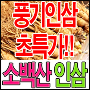 [파머story] 소백산 풍기인삼 수삼(난발삼) 750g한채 15~18뿌리(작은사이즈)