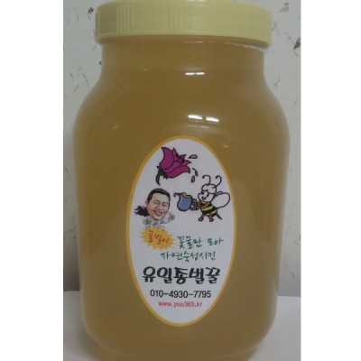 [자연초농원(유일종벌꿀)] 자연숙성벌꿀2.4kg