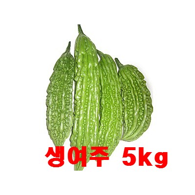 [왕산농원] [무농약인증] 생여주 열매 5kg