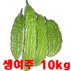 [왕산농원] [무농약인증] 생여주 열매 10kg