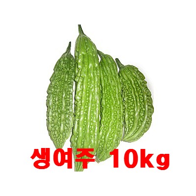 [왕산농원] [무농약인증] 생여주 열매 10kg