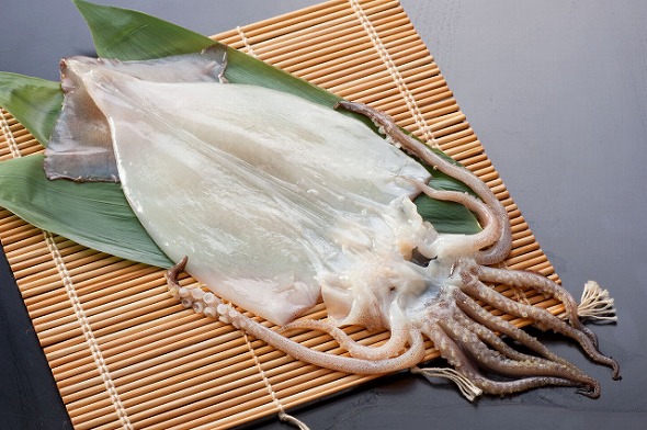 포항 구룡포 당일바리 피데기 반건조 오징어 10미( 1.2kg내외) 동해안