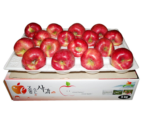 [부흥농원]GAP인증품 [e-좋은사과]껍질째먹는 사과 (부사) 5kg 12-14