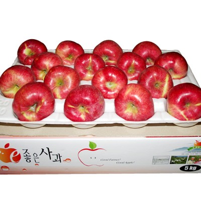 [부흥농원]GAP인증품 [e-좋은사과]껍질째먹는 사과 (부사) 5kg 12-14