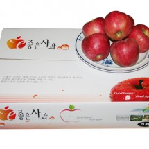 [부흥농원] GAP인증품껍질째먹는사과(부사) 5kg15-17과