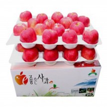 GAP인증품 [부흥농원][e-좋은사과]껍질째먹는사과 (부사) 10kg 30~34과내