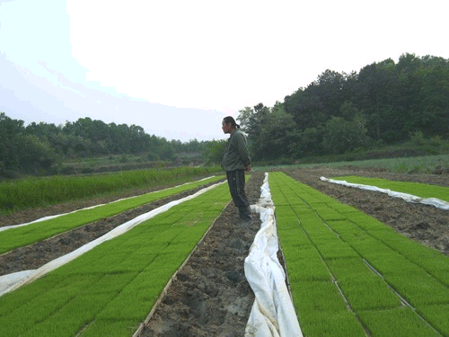 2023년 배아미 자연농법 쌀아지매 쌀눈쌀 20kg