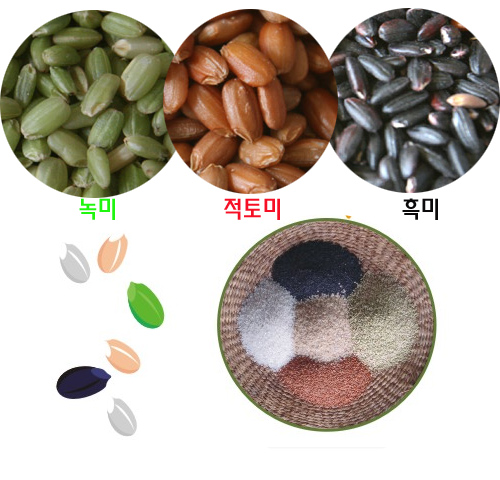 2023년 국산 찰녹미 파란쌀 녹색쌀 녹찰현미 1kg