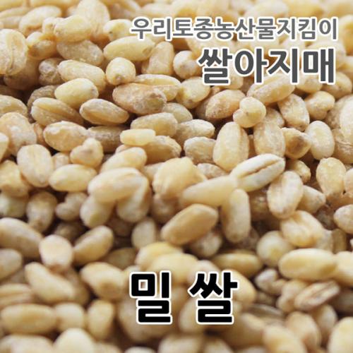 2023년 국산 밀쌀 우리밀 토종밀쌀 1kg