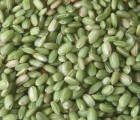 2022년 국산 찰녹미 파란쌀 녹색쌀 녹찰현미 1kg
