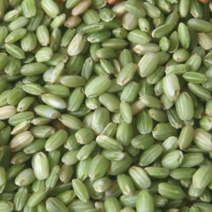 2022년 국산 찰녹미 파란쌀 녹색쌀 녹찰현미 1kg