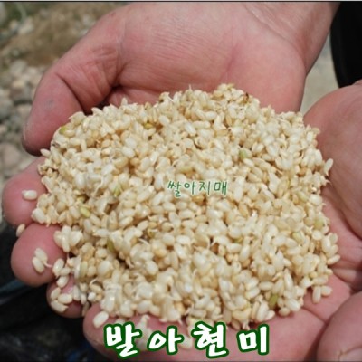 2021년 국산 발아현미 발아현미밥 1kg