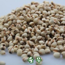 2023년 율무 1kg 율무밥 국산율무 율무쌀
