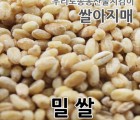 2021년 국산 밀쌀 우리밀 토종밀쌀 1kg