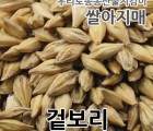 쌀아지매 2021년국내산 새싹보리용 엿질금용 통보리 겉보리 1kg