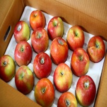 맛있는 사과 아리수l비품 10kg (40과내외)