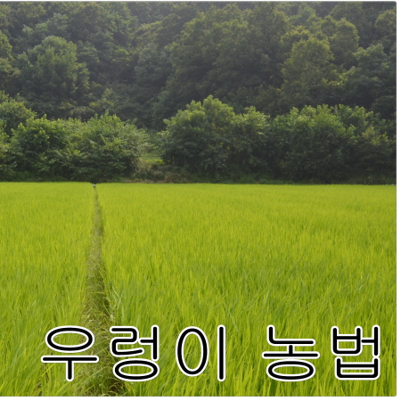 [회룡포 장수진품] 2021년 무농약 우렁이농법 찹쌀 10kg