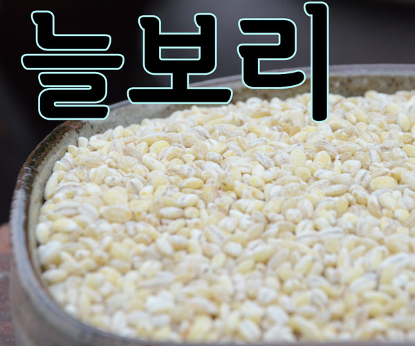 [회룡포 장수진품] 2021  늘보리쌀 5kg