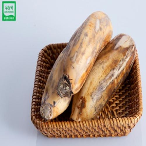 [고령 수 연근] 무농약 흙연근(특)5kg