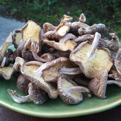 다시용 국물용 표고버섯 500g / 친환경 유기농