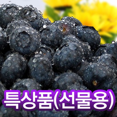[성주블루베리농원] 신선한 블루베리 특상품 1kg