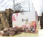 [경성표고버섯농장] 참나무원목 생표고버섯(상품) 1kg
