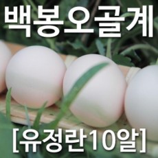 [농부야] 백봉 오골계 방사 유정란10알[유정란 계란]