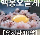 [농부야] 백봉 오골계 방사 유정란40알[유정란 계란]