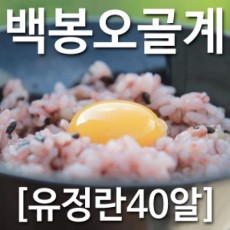 [농부야] 백봉 오골계 방사 유정란40알[유정란 계란]