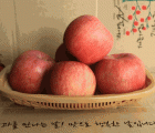 [작은농장] 껍질째먹는사과 봉화사과 사과5kg(24~25과) 부사 GAP