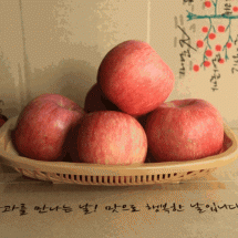 [작은농장] 껍질째먹는사과 봉화사과 사과5kg(24~25과) 부사 GAP