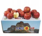  [주왕산사과마을]주왕산꿀사과(부사) 8kg 22과 